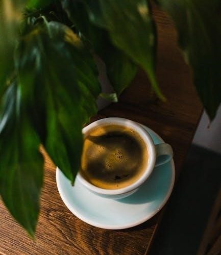 hot shot fogger instructions