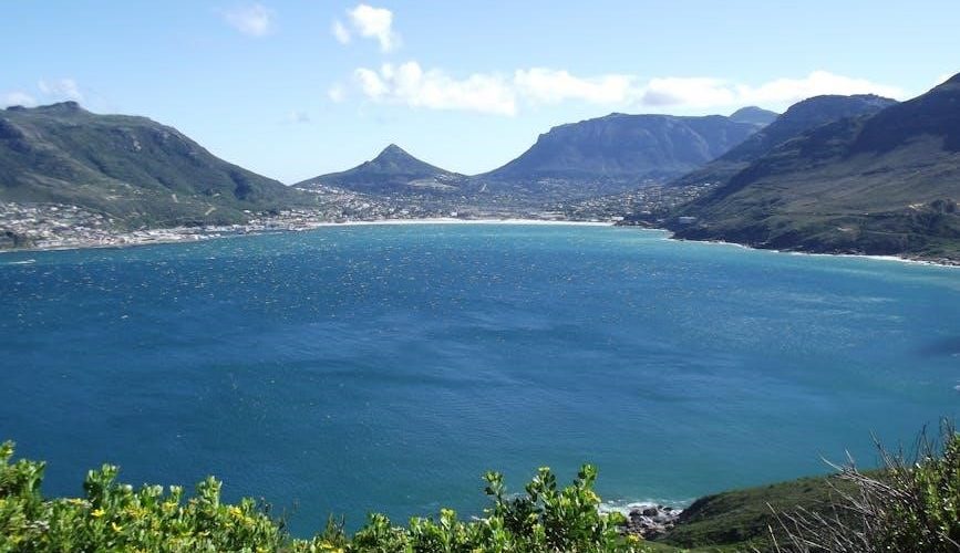 frank chapman western bird guide