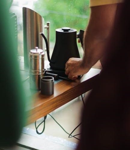 manual or electric coffee grinder