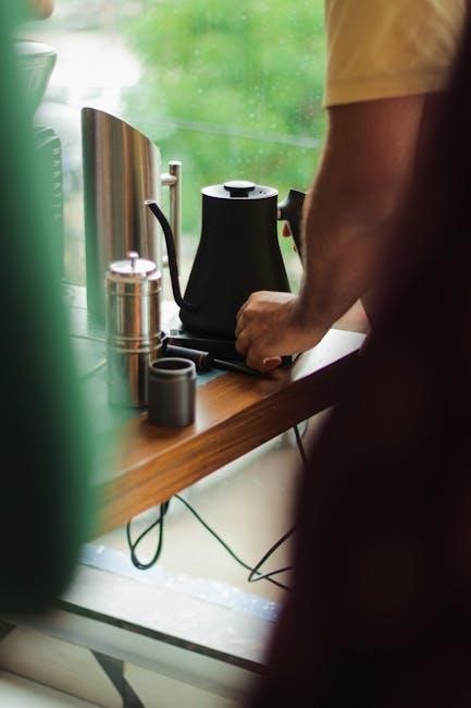 manual or electric coffee grinder