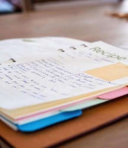 dividing fractions pdf